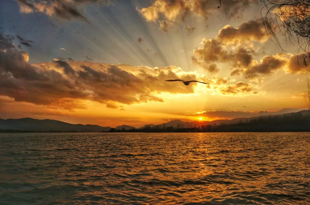 滇池新说|云南高原上的明珠-彩龙社区