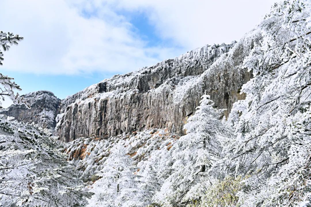 轿子雪山机场图片