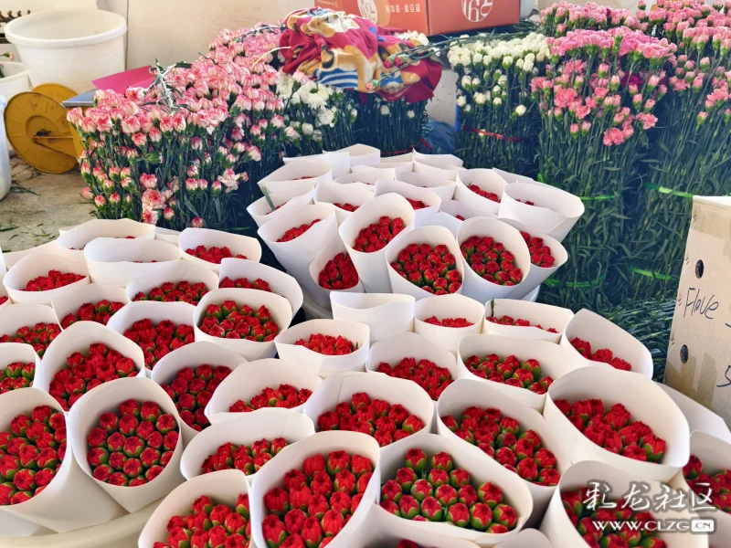 云南昆明斗南花卉畅销国内外