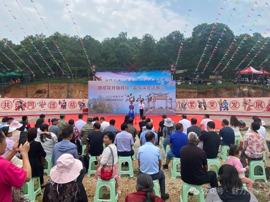 安宁温度这一年禄脿街道听民声解民忧