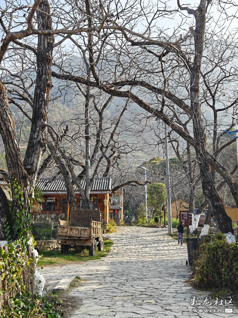 漾濞云上村庄,位于大理市漾濞县苍山西镇的光明村,是一个坐落在苍山