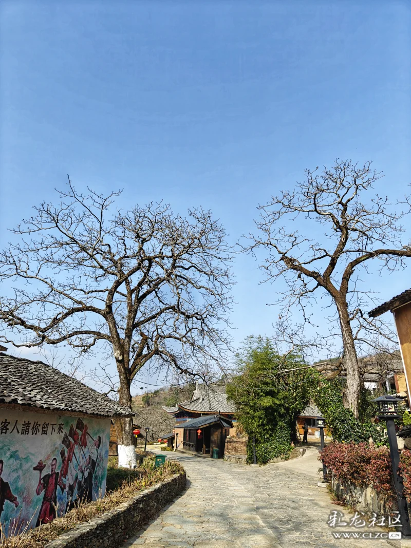 漾濞云上村庄,位于大理市漾濞县苍山西镇的光明村,是一个坐落在苍山