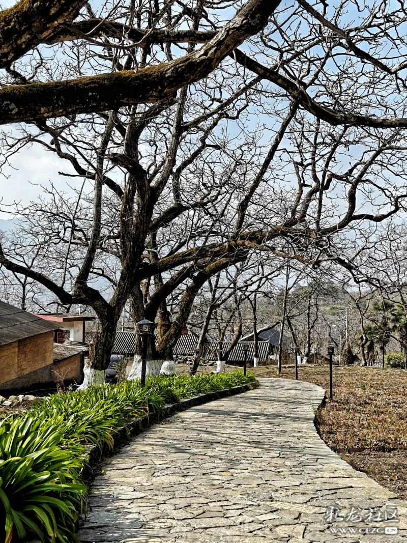 漾濞云上村庄,位于大理市漾濞县苍山西镇的光明村,是一个坐落在苍山
