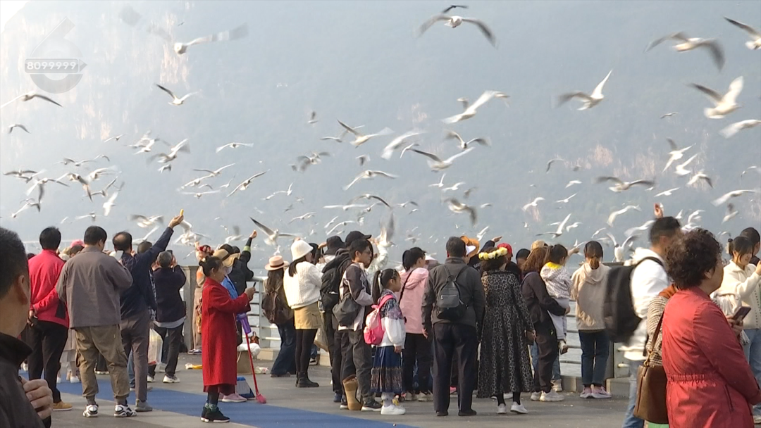 找专业人员用专业相机拍照并现场打印出来部分游客会选择在大坝上为了