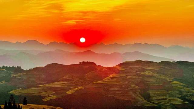 03:09中国摄影旅游网滇,川合作——云南罗平万亩油菜花摄影活动边凡03