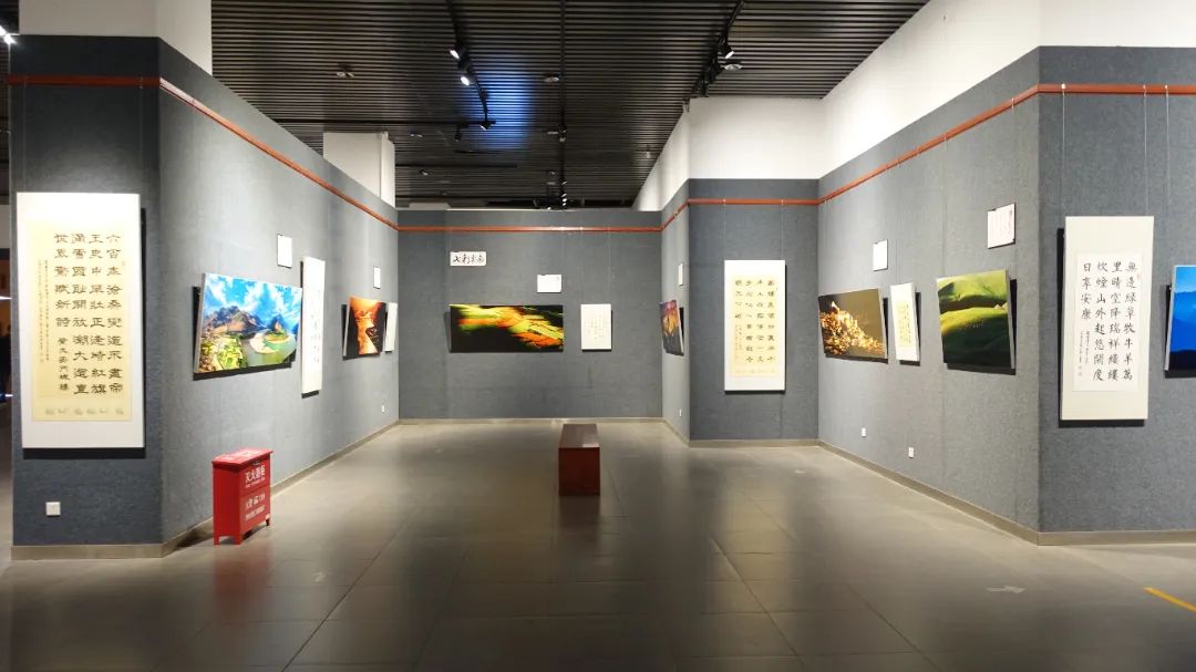 展览在我馆4号展厅