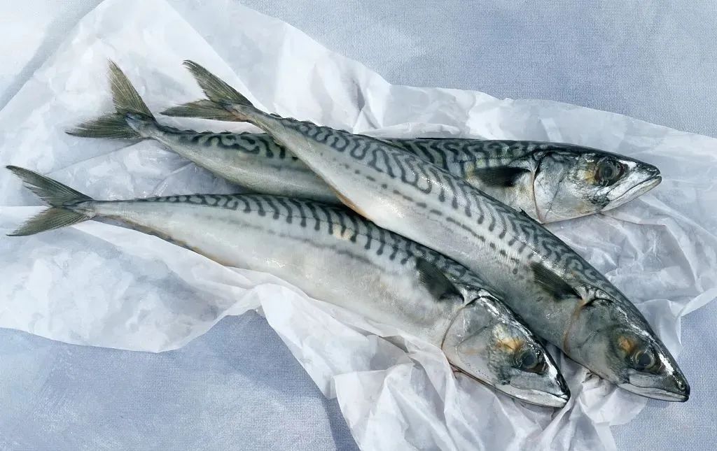 这9种食物越吃越笨尤其是最后一种有些人天天吃顿顿吃