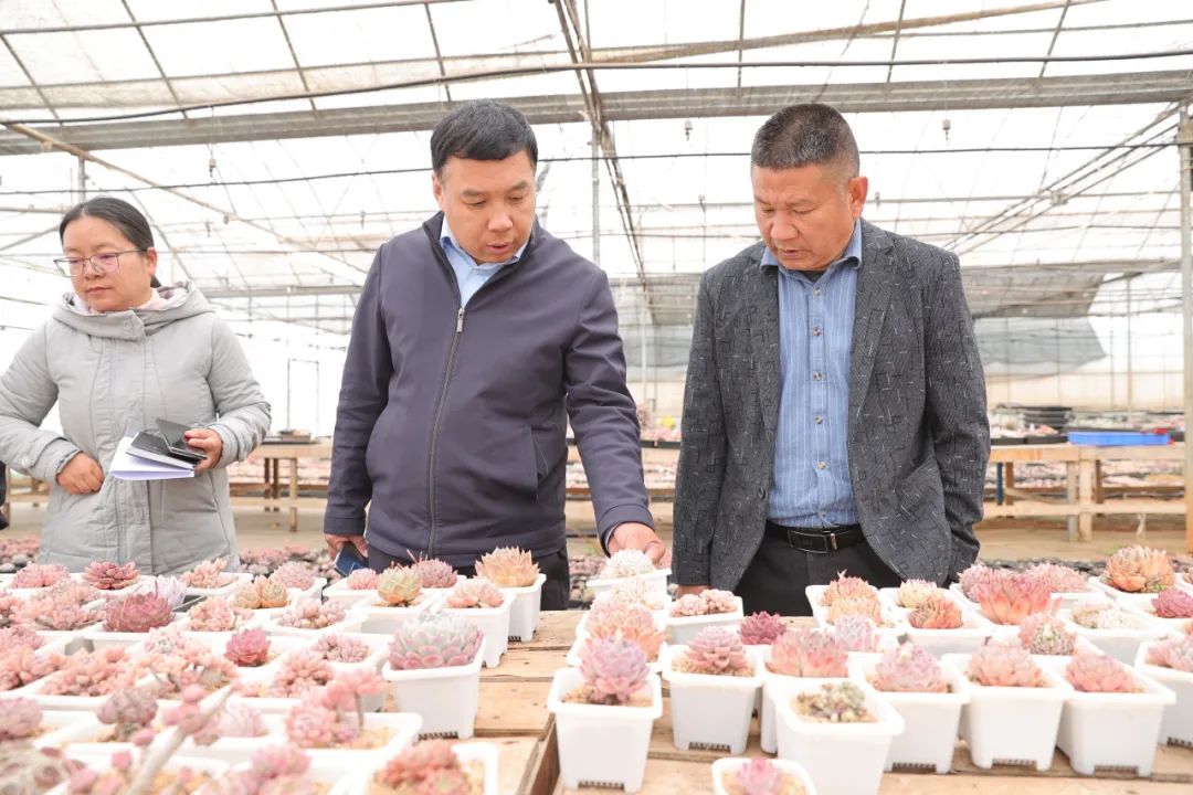 刘庆新副院长一行参观多肉大棚刘庆新副院长一行参观校