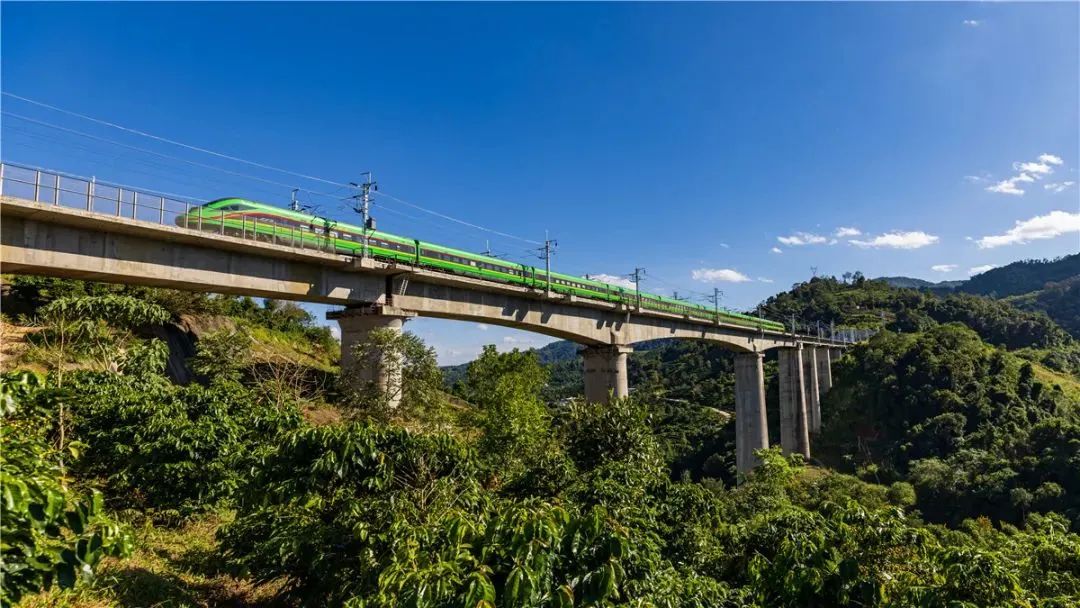 中国网一组数字告诉你中老铁路客货两旺