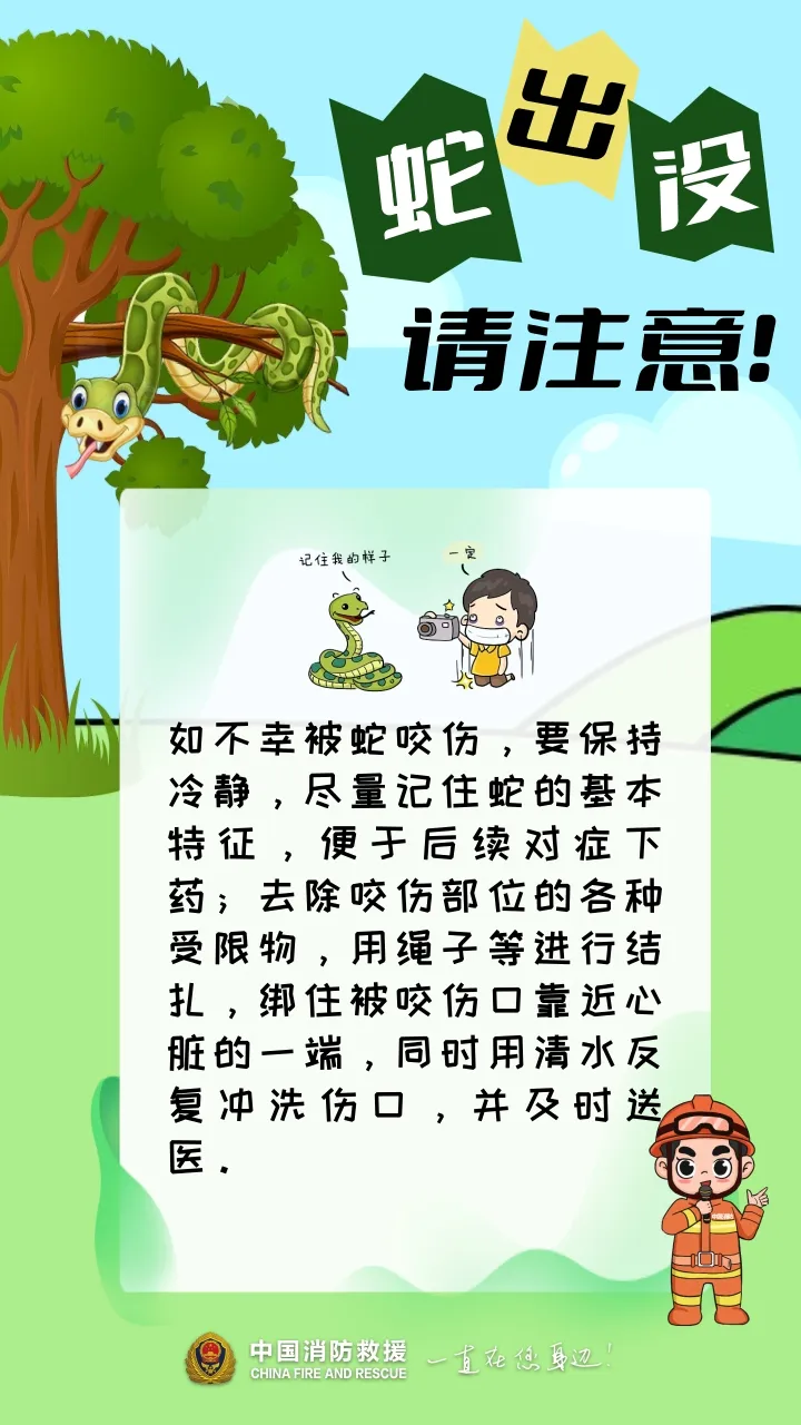 云南普洱一村民家中惊现14斤重的眼镜王蛇……-彩龙社区