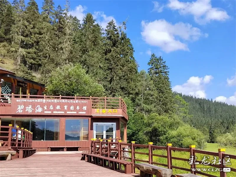 云上锦书bookwalk马拉松追先辈印记寻红色书香迪庆州碧塔海生态教育