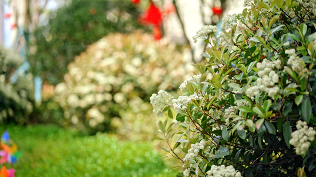 项目注重业主情感体验上的需求和满足,循迹自然高差,规划五级台地园林