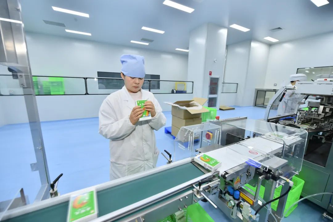 深度解读丨为昆明打造生物医药产业发展高地寻找对策