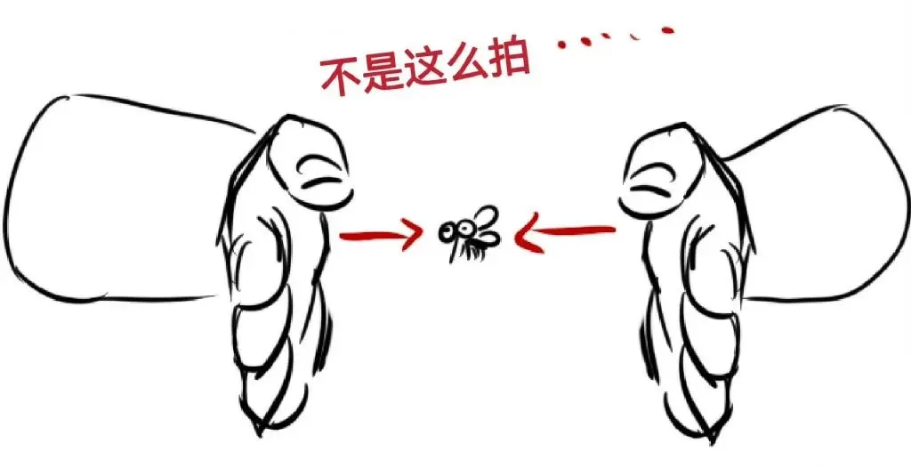 一个正确的打蚊子姿势