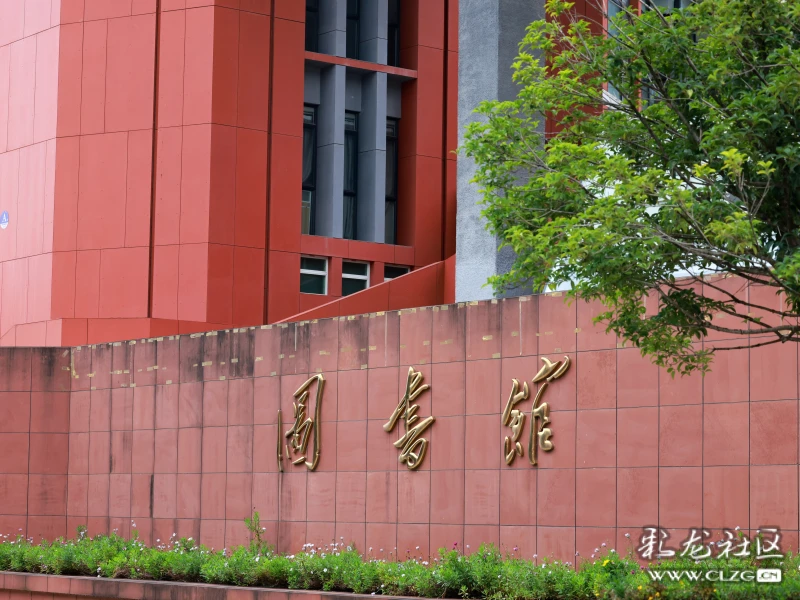 云南财经大学是在哪个区(云南财经大学在哪里个城市)
